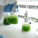 Biotecnologia para substituir os corantes e tingimentos têxtil