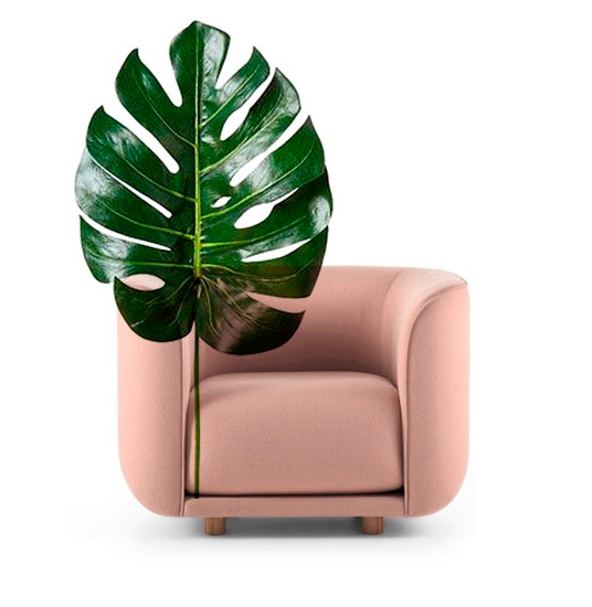 Île Verte Institucional